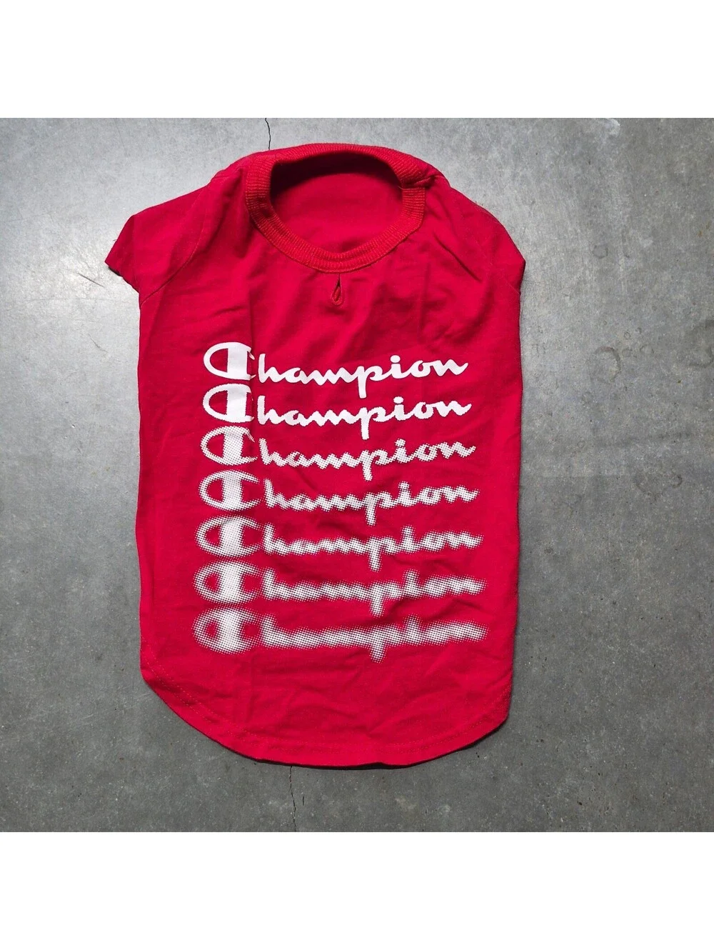 Champion Small Dog T Shirt
